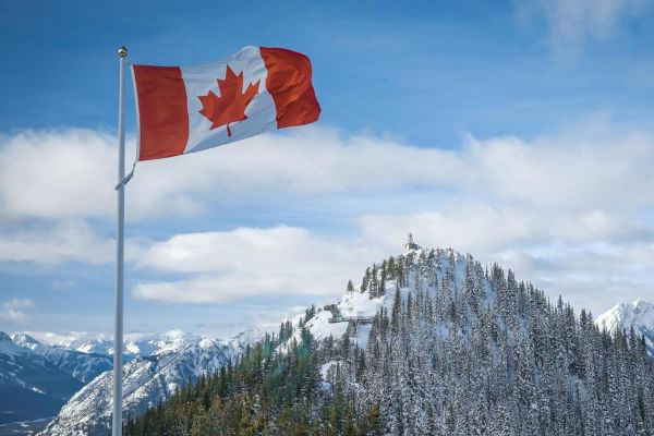 如何应对加拿大移民的语言障碍？