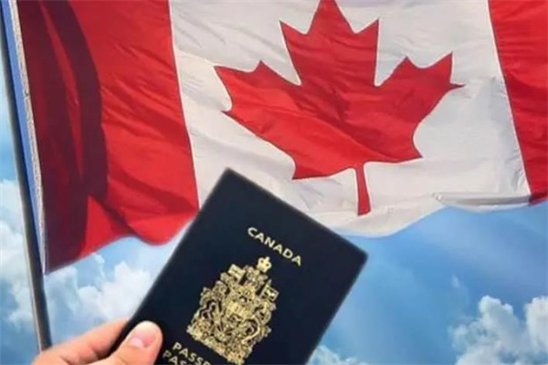 加拿大常见移民方式你符合哪一种