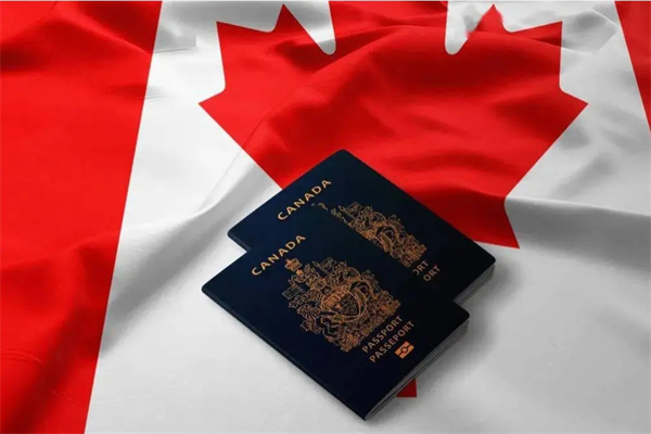 加拿大创业移民和企业家移民的区别