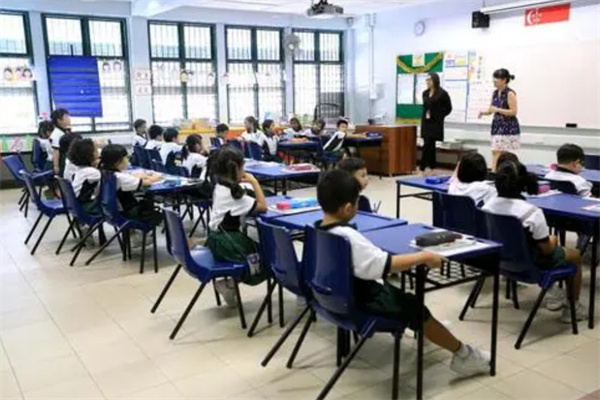 新加坡移民如何为孩子选择合适的学校