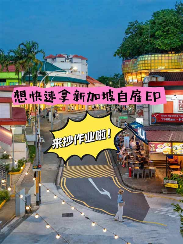 想快速拿新加坡自雇EP看过来，来抄作业啦！