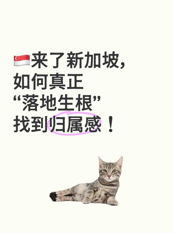 新加坡新移民如何从“局外人”变成“自己人”