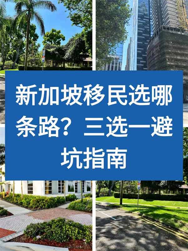新加坡移民选哪条路？三选一避坑指南