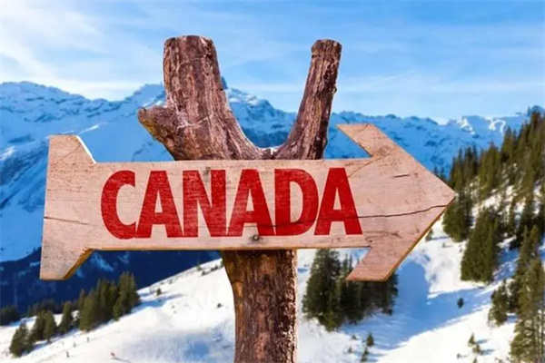 超过80%的国人移民加拿大都带着这样的目的