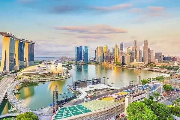 新加坡EP全解析｜4条路怎么选？