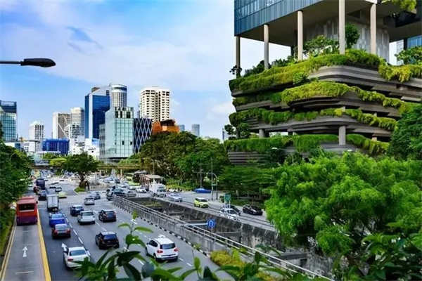新加坡移民申请中的语言要求